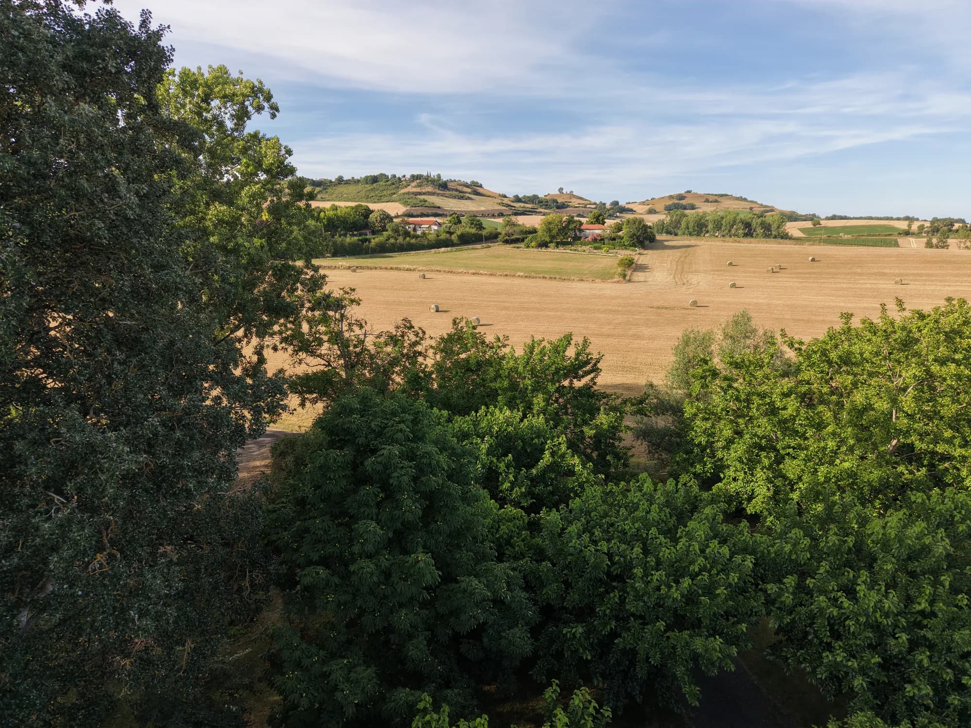 Les collines et les champs vallonnés autour du domaine