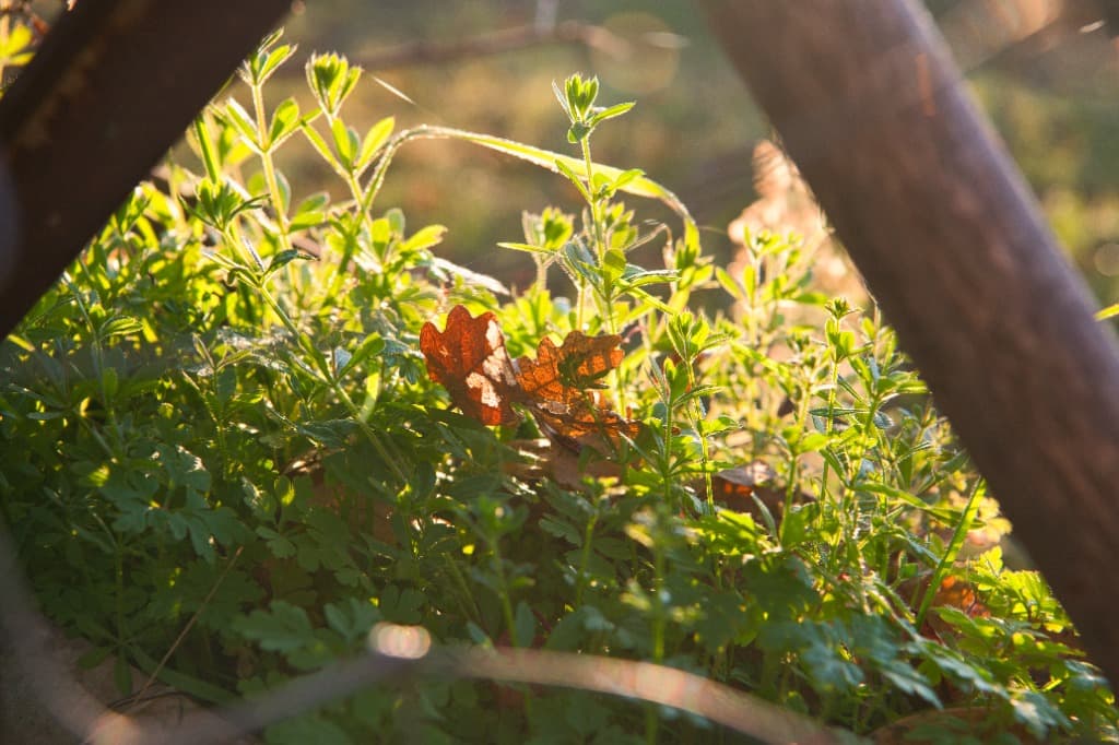 Exploration intérieure